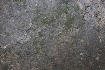 Background texture of Mossy concrete wall wet after the rain, suitable for background, grunge style