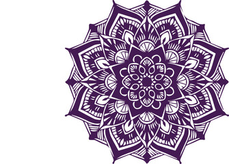 Beautiful flower art and mandala vector design