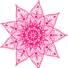 Beautiful flower art and mandala vector design