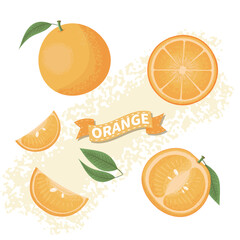 Detailed and Artistic Illustrations of Whole Oranges, Orange Segments, and Green Leaves