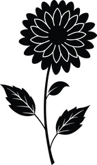 Black silhouette of Aster vector illustration