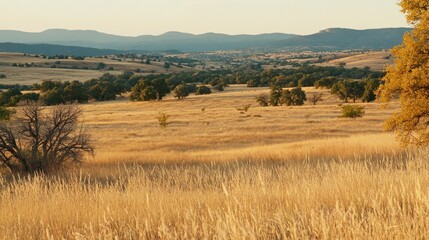 Golden grasslands and distant mountains at sunset.