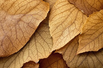 Obraz premium Detailed close-up of overlapping dried leaves with visible vein patterns, warm golden-brown tones, and textured natural background. Concept of nature. Ai generative.