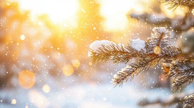 Winter wonderland.  Snow-covered branches in the sunlight. AI.