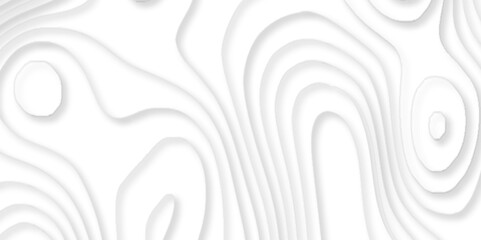 Stylish white abstract geometric pattern background,   geographic mountain relief, topographic contour lines map seamless pattern, abstract 3d  white illustration topographic canyon map.