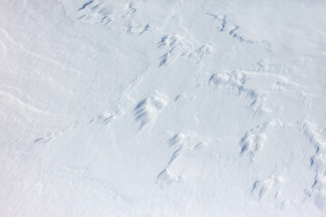 The snow is white and the ground is covered in it
