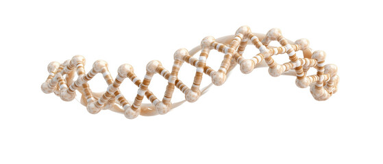 Obraz premium 3D model of a DNA structure. transparent background