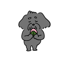 桜餅を食べる犬