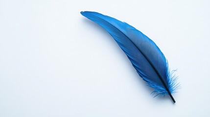 A blue feather ink pen on a white backdrop, angled to suggest motion and creativity, perfect for artistic or branding mockups in creative projects