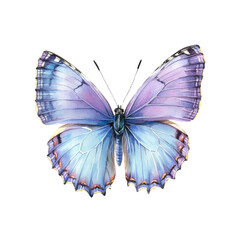 Fototapeta premium Elegant Lavender Butterfly Watercolor Painting
