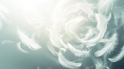 A group of delicate white feathers floating in a spiral pattern, symbolizing lightness, peace, and natural tranquility in the air