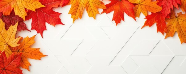 Maple leaves abstract background idea. Vibrant autumn leaves gracefully arranged on a clean, white background.