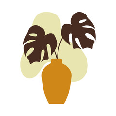 Aesthetic Plant