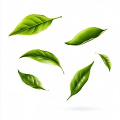 A collection of vibrant green leaves floating gracefully against a bright background.