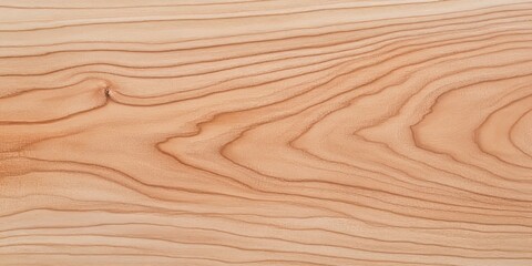 Fototapeta premium Natural beech wood texture background featuring rich grains and patterns, ideal for showcasing the beauty of beech wood in design projects and presentations. Explore this stunning beech wood texture.