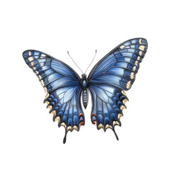 Fototapeta premium Elegant Blue Morpho Butterfly Illustration