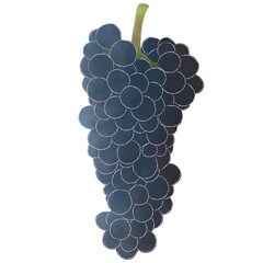 grape watercolor. design for background, wallpaper, carpet, cloth, batik, textile, embroidery, sarong, interior decoration, floor, curtain, fabric print, ceramic
