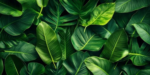 Tropical green leaves form a rich background texture, creating a natural green wallpaper that brings the essence of nature indoors. Enjoy the calming green of nature in this vibrant wallpaper.