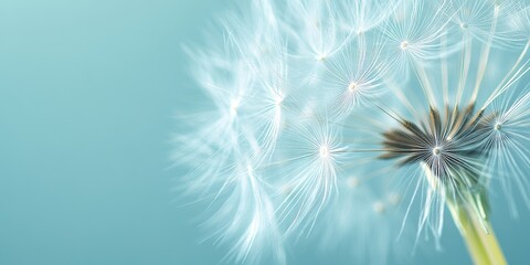 Dandelion macro showcasing intricate flower details against a softly blurred background, emphasizing the delicate beauty of the dandelion and its unique features in this close up image.