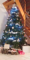 Le sapin de Noël
