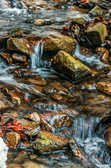 Cascada Bursuc, Putna 727455  -  Europe, Romania, Suchav region
