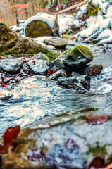 Cascada Bursuc, Putna 727455  -  Europe, Romania, Suchav region