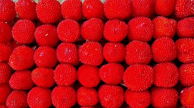 Red raspberry fruits background