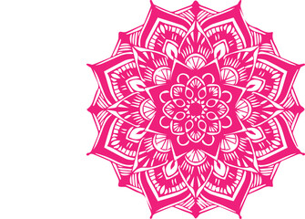Beautiful flower art and mandala vector design