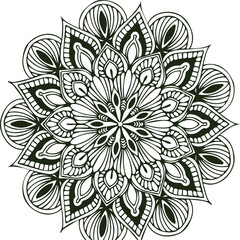 Beautiful flower art and mandala vector design