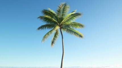 Single palm tree against a clear blue sky.