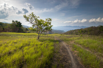 Path to Serenity: A winding dirt road leads through a field of emerald grass towards a breathtaking vista