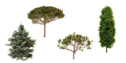 Collection of evergreen trees, top view.  Landscape design elements.