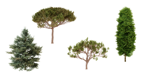 Collection of evergreen trees, top view.  Landscape design elements.