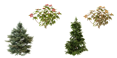 Collection of evergreen trees and flowering shrubs. Garden plants overhead view.