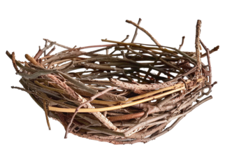 Empty bird's nest made of isolated branches on a transparent background. high resolution PNG file