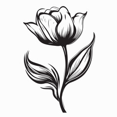 Tropical Tulip Flowers Sketch Style Hand Drawn Vector Illustration  isolated on white background.