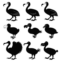 Obraz premium Dodo Bird Silhouette Set for Extinct Species and Wildlife Illustrations