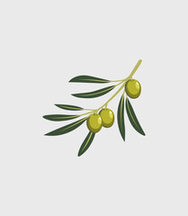 Realistic olive branch illustration, symbolizing health and Mediterranean lifestyle. Perfect for food packaging, cosmetics, and branding.
