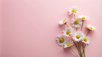 Fototapeta premium Spring white flowers on light pink background floral arrangement, Easter and spring concept