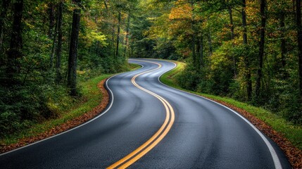Fototapeta premium Winding asphalt road through autumn forest.