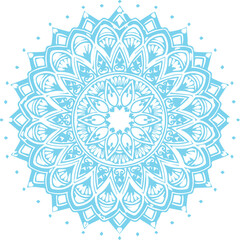 Beautiful flower art and mandala vector design