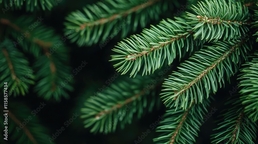Poster pine tree abstract background idea. close-up view of vibrant green pine needles showcasing natural b