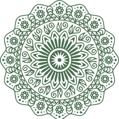 Beautiful flower art and mandala vector design