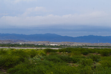 Fototapeta premium A beautiful view of landscape river forest in Baluchistan Turbat city