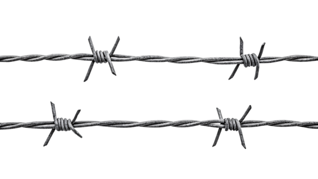Parallel lines of gray barbed wire stretch horizontally, evenly spaced spines and coiled knots conveying an organized yet restrictive presence, isolated on a transparent background