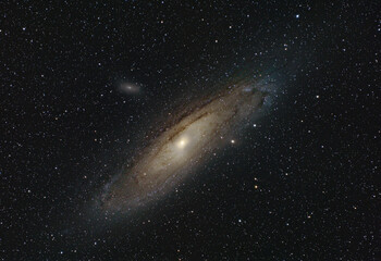 Andromeda Galaxy in the night sky