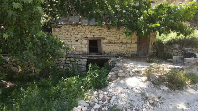 Sycamore Tree Mill Stone Wall