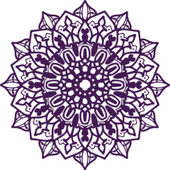 Beautiful flower art and mandala vector design