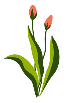 pink buds green leaves simple plant clip art preview