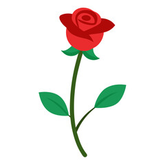 red rose isolated on white